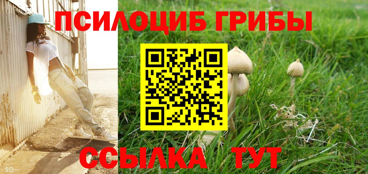 Псилоцибиновые грибы Psilocybine cubensis  Галлюциногенные грибы ЛСД  Бор  Вход с VPN 